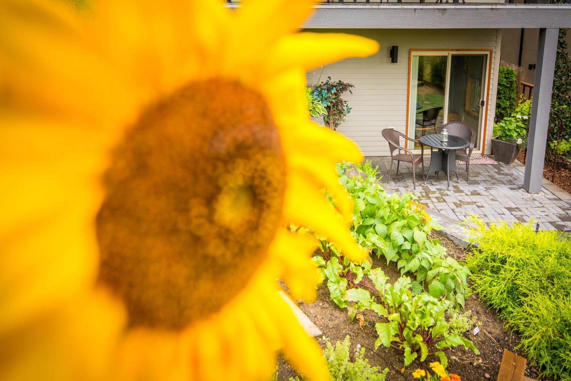 Cormier'S Studio Guest Suites Penticton Exterior foto